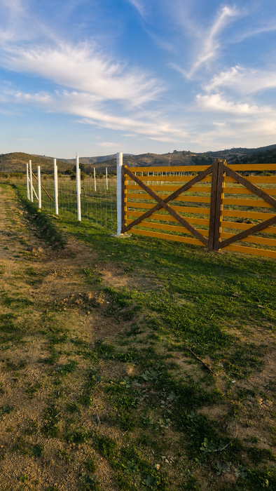 STICKER - GANA UNA PARCELA DE 5.000 m² RIFA AÑO 2026 CACERIA BEAGLE CHILE
