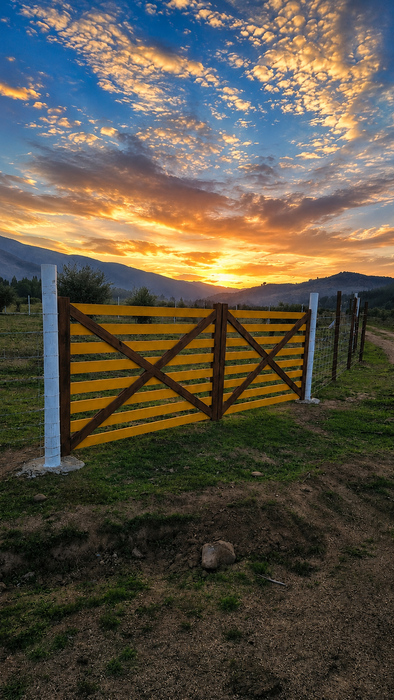 STICKER - GANA UNA PARCELA DE 5.000 m² RIFA AÑO 2026 CACERIA BEAGLE CHILE