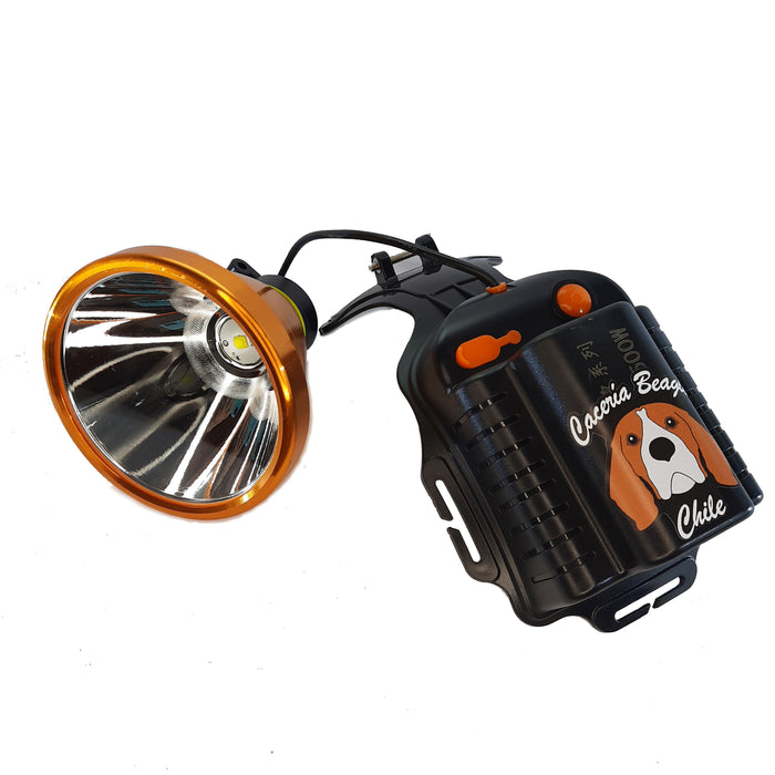 Foco Oficial 500w Original